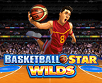 Basketball Star Wilds